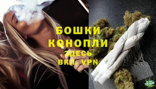 прущие крисы Елизово