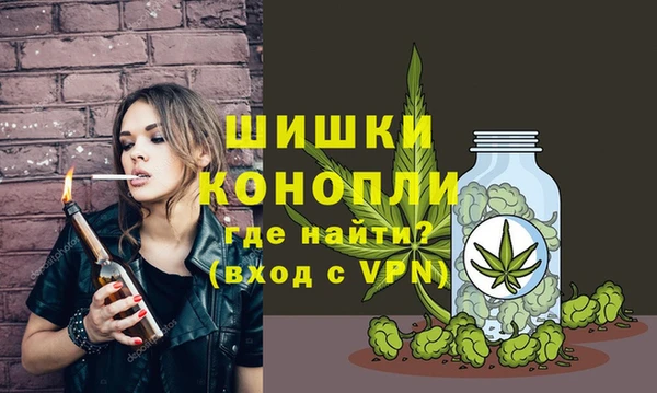 сатива Заволжск