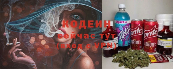 прущие крисы Елизово